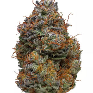 Buy Blackberry Kush strain in Saudi Arabia